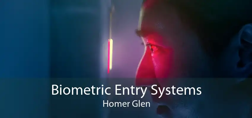 Biometric Entry Systems Homer Glen