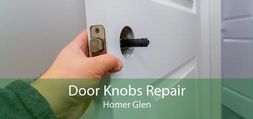Door Knobs Repair Homer Glen