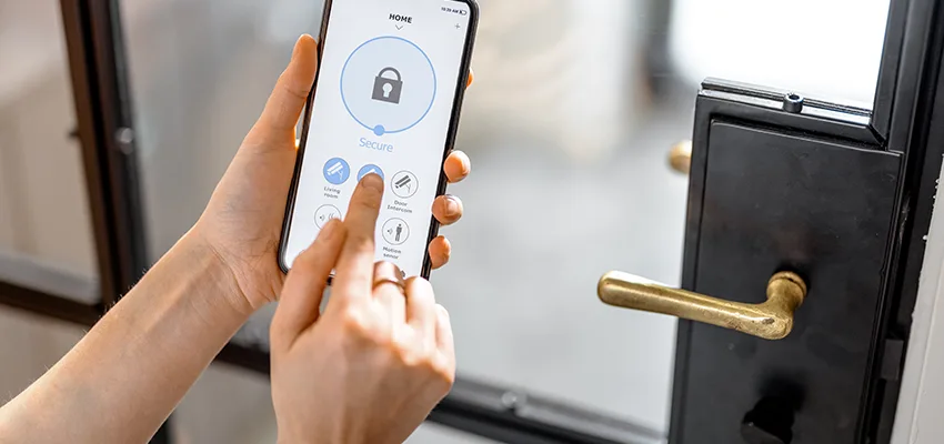 Remote Control Locks Sensor Repair in Homer Glen, Illinois