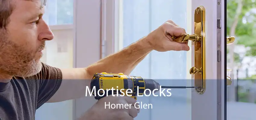 Mortise Locks Homer Glen