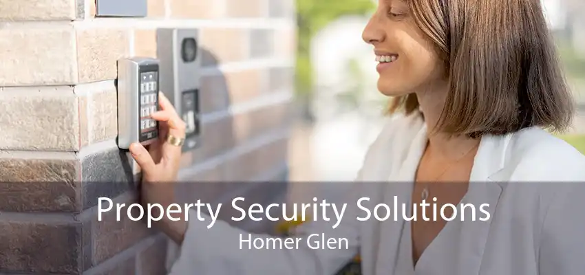 Property Security Solutions Homer Glen
