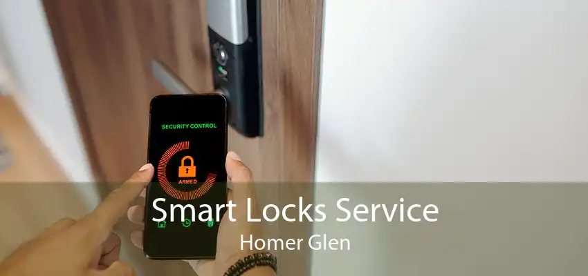 Smart Locks Service Homer Glen